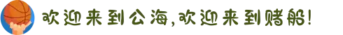 欢迎来到公海,欢迎来到赌船!